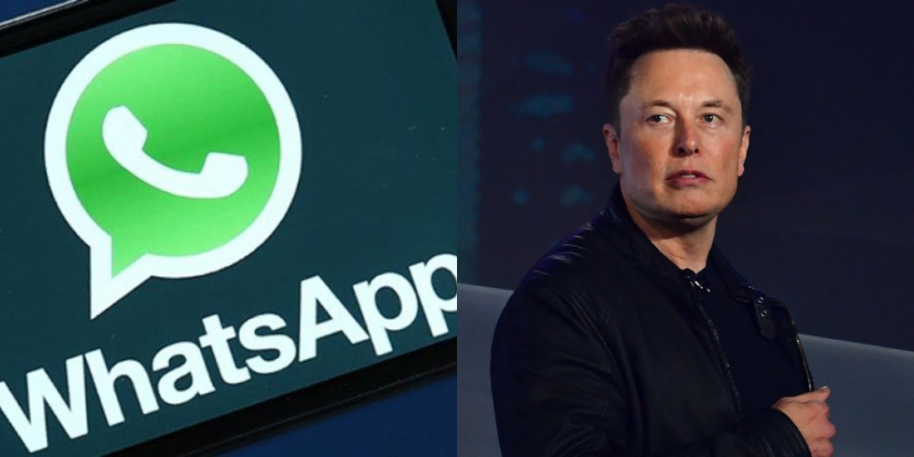 elon musk whatsapp توییتر