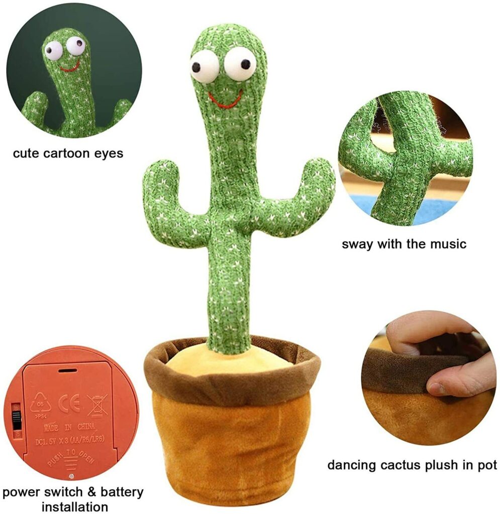 cactus