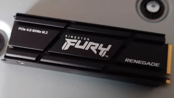 Kingston Fury Renegade