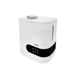 color image TLP 72503 a1441e77 cdc4 11ef b01a c3adfa1061f1