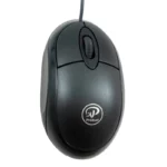 color image TLP 112599 22f314d3 136c 11f0 a015 8ff14c7fae99