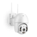 color image TLP 78876 ffffff 053f5732 c821 44d4 b185 9a2b7f9d7106