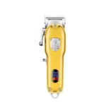 color image TLP 107481 1c855a31 f2b3 11ef 81cc 916a357b6b53