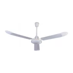 color image TLP 35230 ffffff 9664fb06 b19c 4f55 872c 97060e0bb693