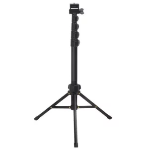 color image TLP 37662 3103146a fbed 11ee 8aef 0242ac120008