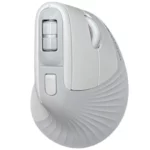 color image TLP 54850 109b1ce4 5a13 11ef 94e0 5dc9fd964217