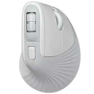 color image TLP 54850 109b1ce4 5a13 11ef 94e0 5dc9fd964217