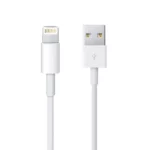 color image TLP 71392 7bdc05a0 ca69 11ef b01a c3adfa1061f1