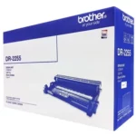 color image TLP 10647 1a1a1a 72317b62 5f2c 4996 8460 4c8ec4bfd2ea