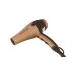 color image TLP 107030 e4450077 ee89 11ef 81cc 916a357b6b53