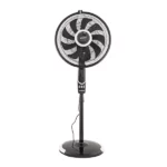 color image TLP 107036 e50f0132 ee89 11ef 81cc 916a357b6b53