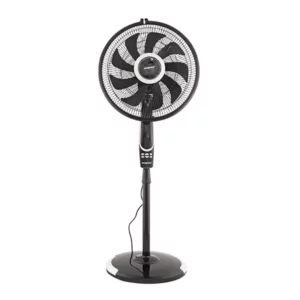 color image TLP 107036 e50f0132 ee89 11ef 81cc 916a357b6b53