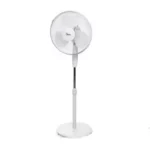 color image TLP 109615 ffffff a990ff36 df1e 4e84 8659 bfbbfaa919dc