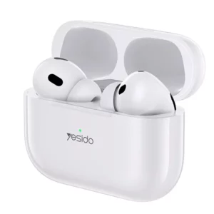 color image TLP 109998 2abcc8b8 fd77 11ef 8ee9 8772a7d6974f