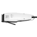 color image TLP 123126 604a09bb 4f87 11f0 aba2 33c4e03c9e17