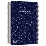 color image TLP 138337 4af06290 8296 11f0 bea5 17f082fe705a 1