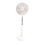 color image TLP 19953 ffffff d93ab77a af49 46aa b670 ae8802bd2b90