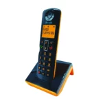 color image TLP 27093 ffa600 d6eb80fd 2779 4b16 a983 07f063dae27a 1