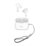 color image TLP 36941 d32e7896 fb2b 11ee b131 0242ac120008