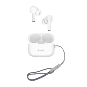 color image TLP 36941 d32e7896 fb2b 11ee b131 0242ac120008