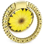 color image TLP 38401 81bb46b8 0aaf 11ef 8207 0242ac120008