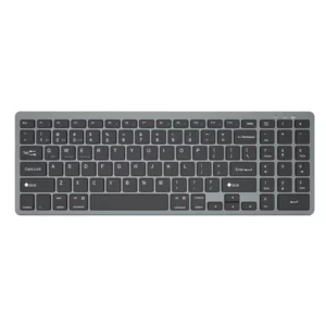 color image TLP 39179 14d1279d 0d30 11ef 841f 9f7f9f3a37ea