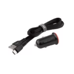 color image TLP 39975 2d9f221e 12be 11ef 841f 9f7f9f3a37ea