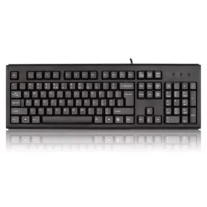 color image TLP 42108 cb530be9 26ff 11ef 841f 9f7f9f3a37ea 1