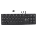 color image TLP 48641 3ca41785 3dcc 11ef 94e0 5dc9fd964217