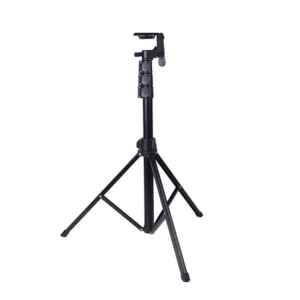 color image TLP 54558 7fbbeb1c 54c5 11ef 94e0 5dc9fd964217