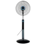 color image TLP 54672 a58ac9cc 79d4 441c 9994 091da9a8d675