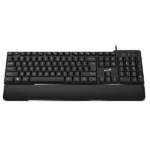 color image TLP 55761 c30cb747 6397 11ef 94e0 5dc9fd964217