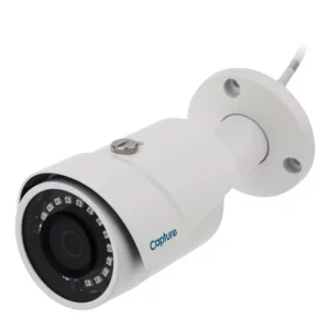 color image TLP 61186 a201db5b 990f 11ef 84f2 93c1d43a1191