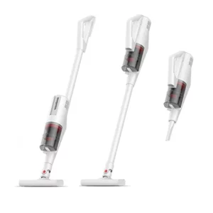 color image TLP 69437 138eae3f bf77 11ef b01a c3adfa1061f1