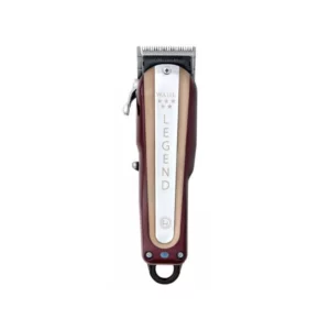 color image TLP 72113 dd5299a4 cb68 11ef b01a c3adfa1061f1