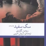 color image TLP 101960 4a78a7c3 e9de 11ef 8feb 7c10c98398da