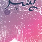 color image TLP 104558 e783085e e9e6 11ef ae56 7c10c98398da