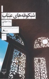 color image TLP 105193 8a95c5c2 e9e7 11ef bdab 7c10c98398da