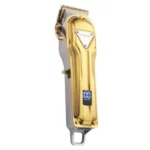 color image TLP 107426 073b5542 f2b3 11ef 81cc 916a357b6b53