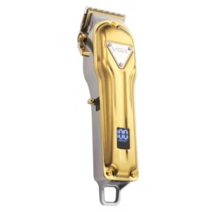 color image TLP 107426 073b5542 f2b3 11ef 81cc 916a357b6b53