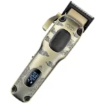 color image TLP 107549 31e98170 f2b3 11ef 81cc 916a357b6b53