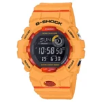 color image TLP 107901 ab1a9293 f339 11ef 81cc 916a357b6b53