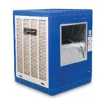 color image TLP 109202 3479bf b5cd493d e390 48ce 81a8 527195bf1b8b