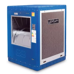 color image TLP 109888 3479bf 5cff345f 49ff 4204 99d7 15b562834446