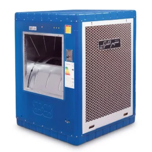 color image TLP 109906 3479bf b96000bf df3f 454a 9e9c 8086d8a88366