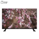 color image TLP 117991 e6381af7 3558 11f0 9a9e c30d0f13d8c0