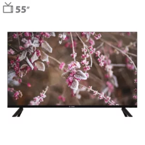 color image TLP 117991 e6381af7 3558 11f0 9a9e c30d0f13d8c0