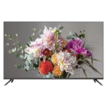 color image TLP 121465 f683a5f2 42e6 11f0 aba2 33c4e03c9e17