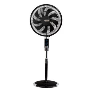 color image TLP 130660 63fe27b8 3b05 497c b41c 3bd6bb967621