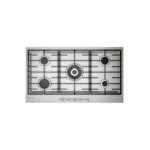 color image TLP 131153 310eb203 60b0 11f0 aba2 33c4e03c9e17